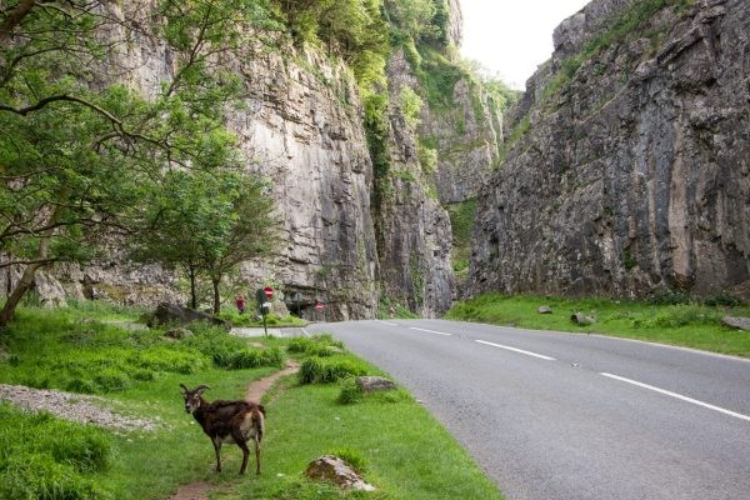 Cheddar Gorge