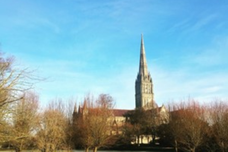 Salisbury Cathedral, Cathedral Close