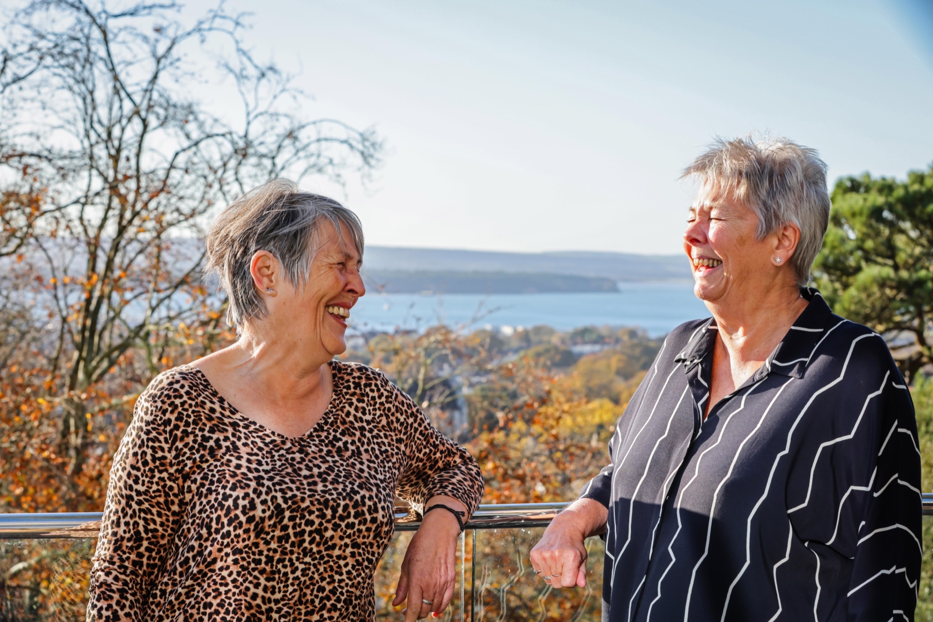 vista lorraine sally