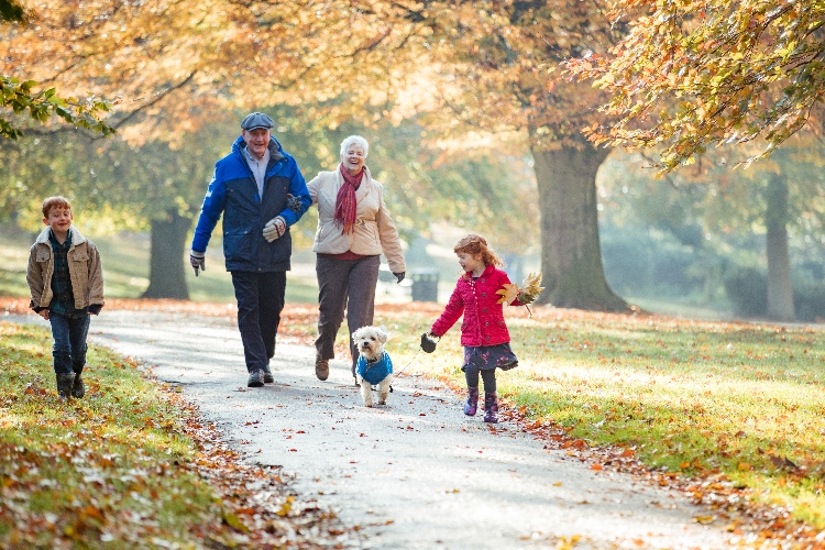 Grandparents with grandchildren on a walk with a dog
